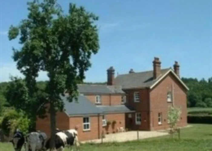 Mill Farm