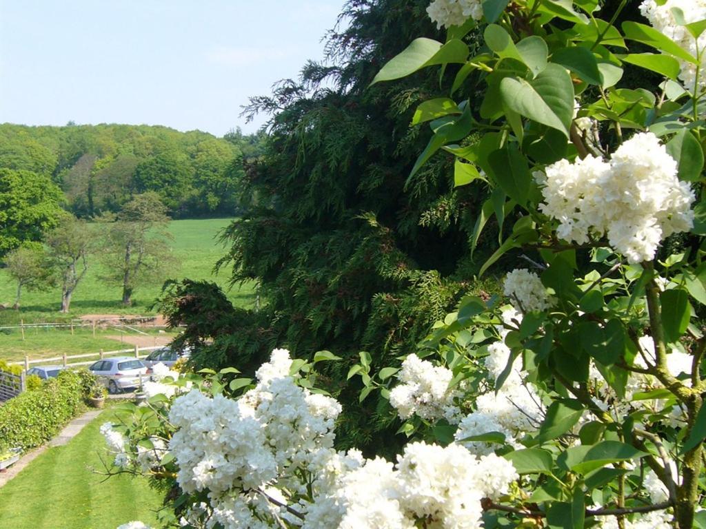 Mill Farm Farm stay Exeter