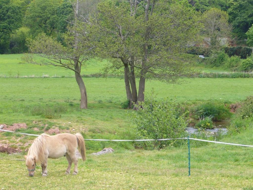 Mill Farm