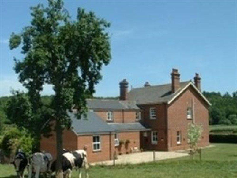 Mill Farm Exeter